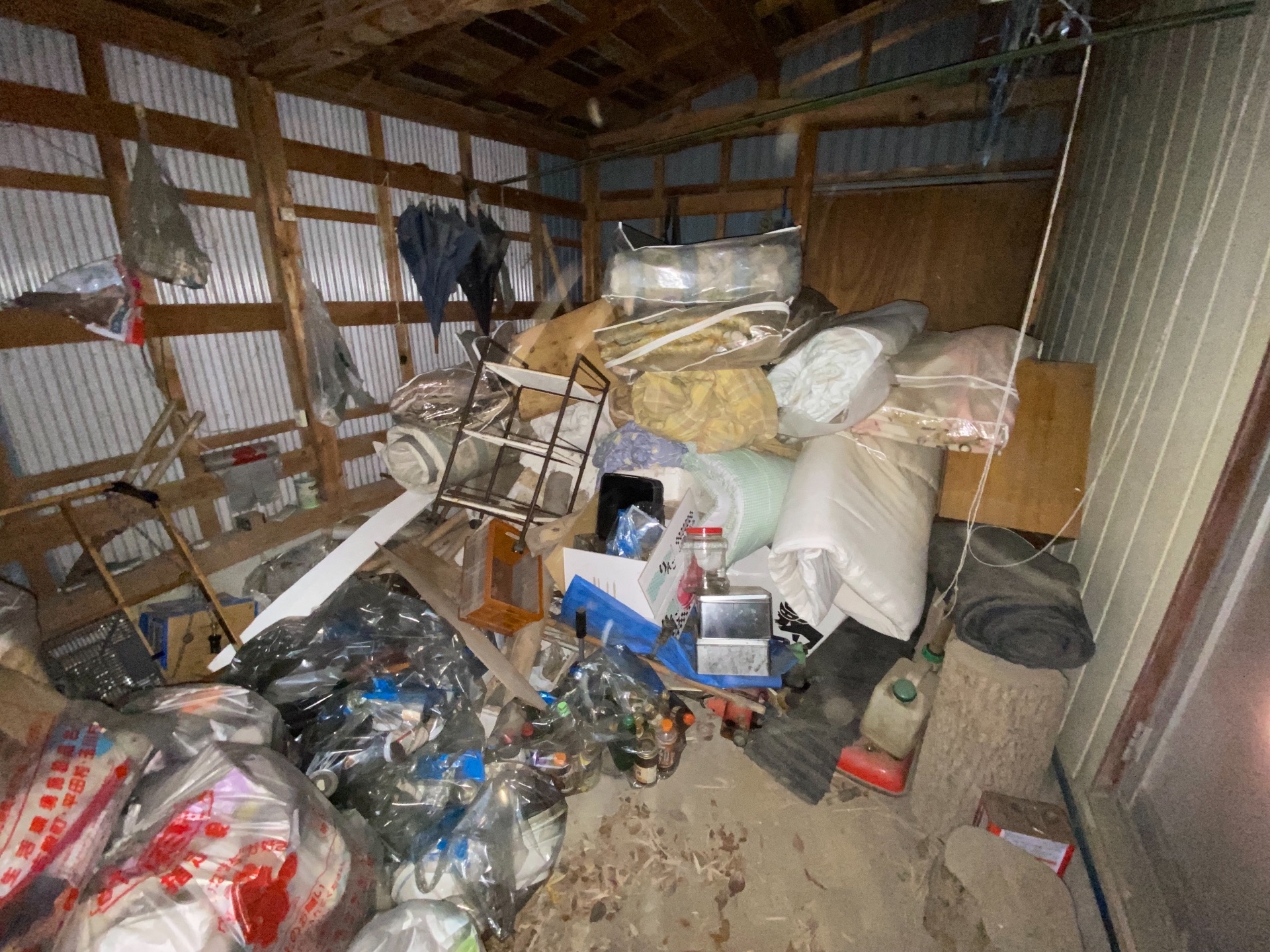 Before画像